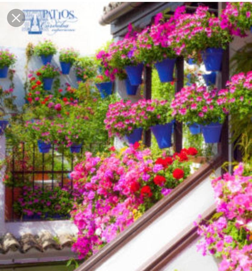 A 20 Metros De La Mezquita Catedral ,Apartamentos Turistico Cespedes 5 Córdoba Buitenkant foto