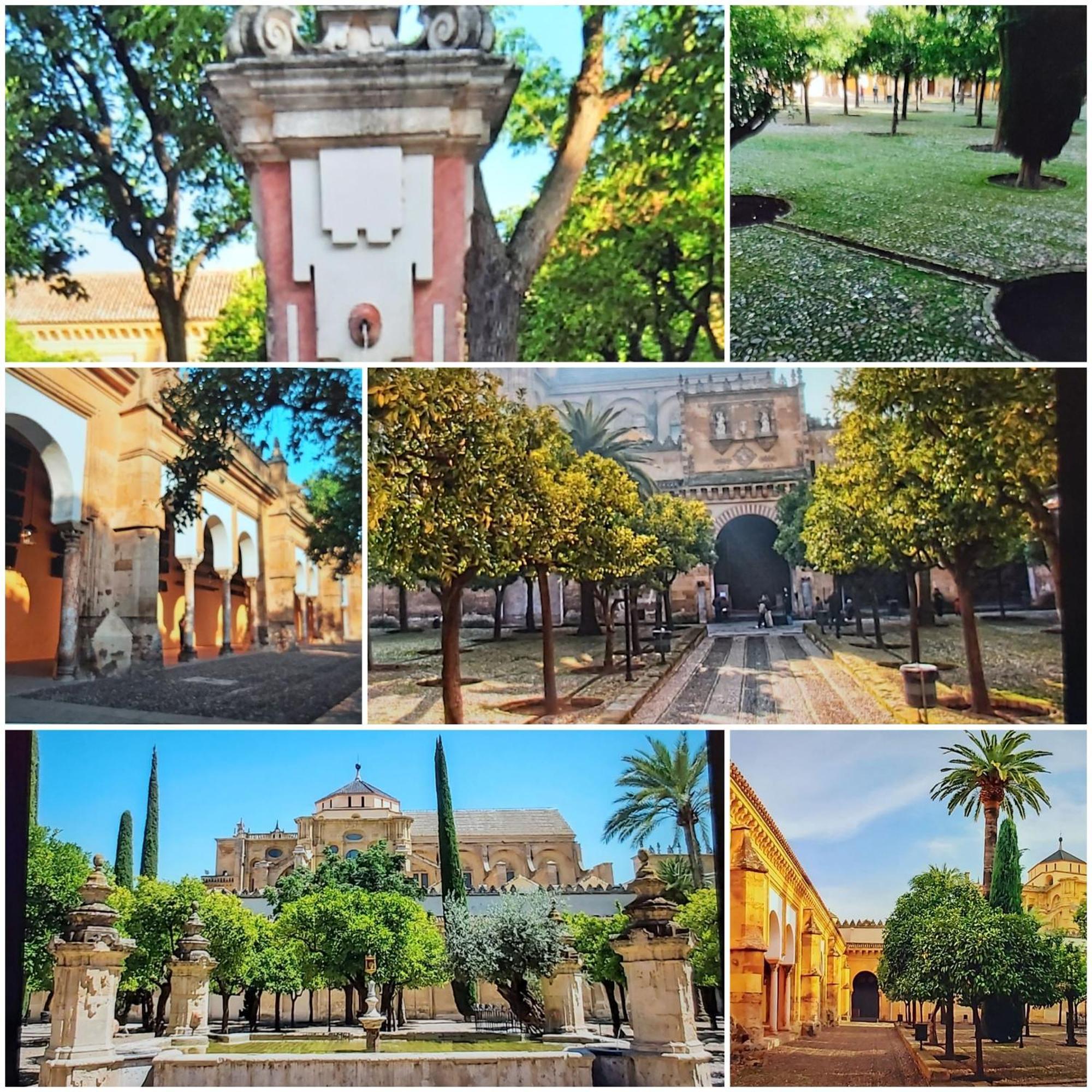 A 20 Metros De La Mezquita Catedral ,Apartamentos Turistico Cespedes 5 Córdoba Kamer foto