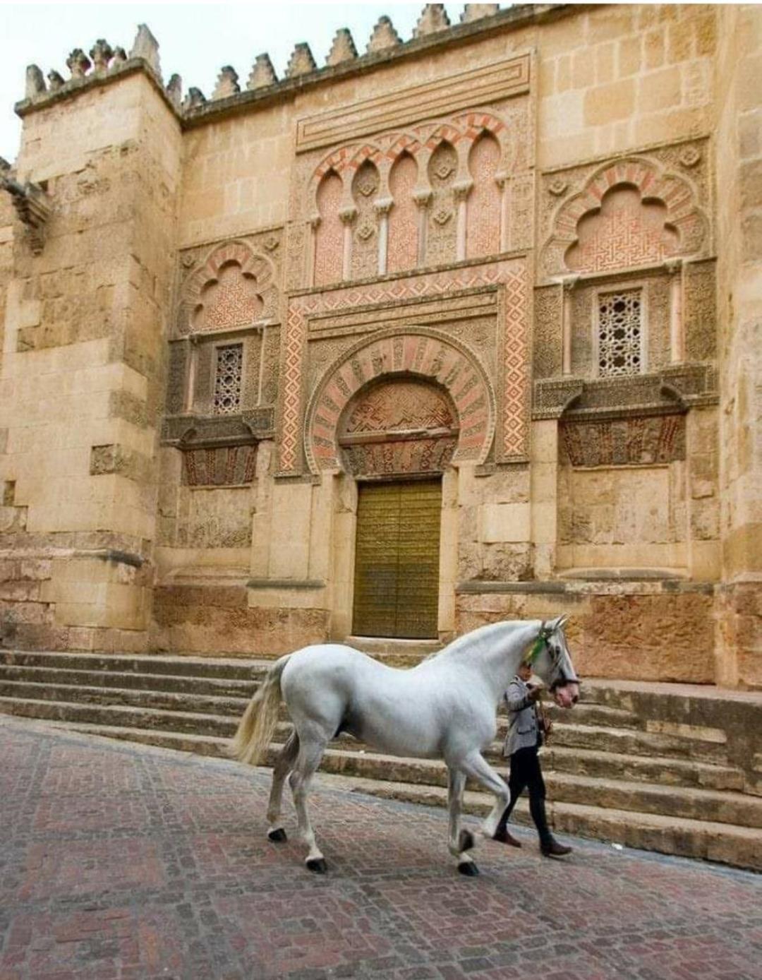 A 20 Metros De La Mezquita Catedral ,Apartamentos Turistico Cespedes 5 Córdoba Kamer foto