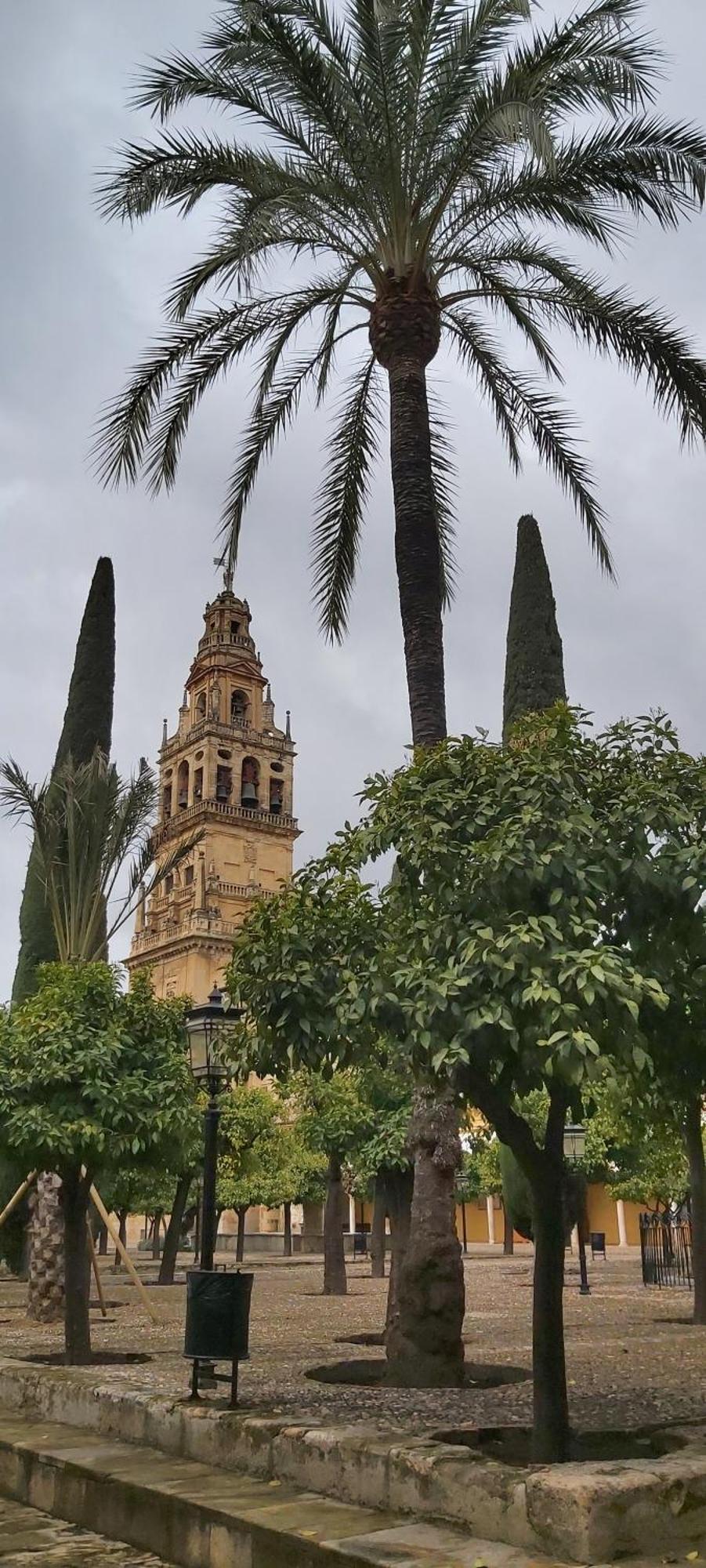 A 20 Metros De La Mezquita Catedral ,Apartamentos Turistico Cespedes 5 Córdoba Kamer foto